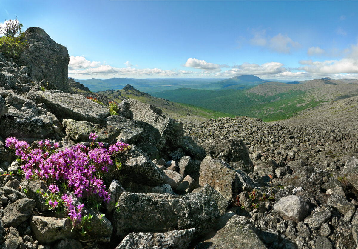 Источник интернет. 