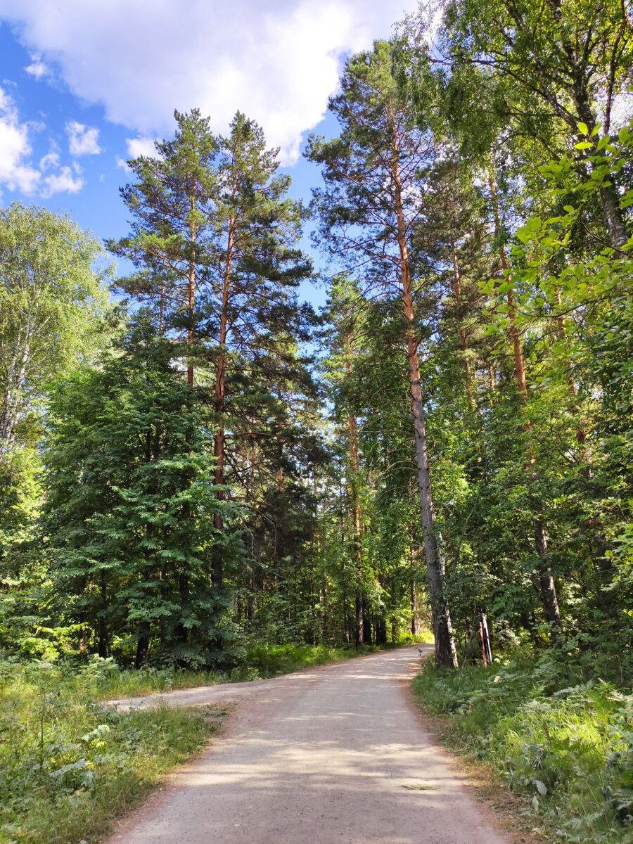 Тропинки по заповеднику, фото автора