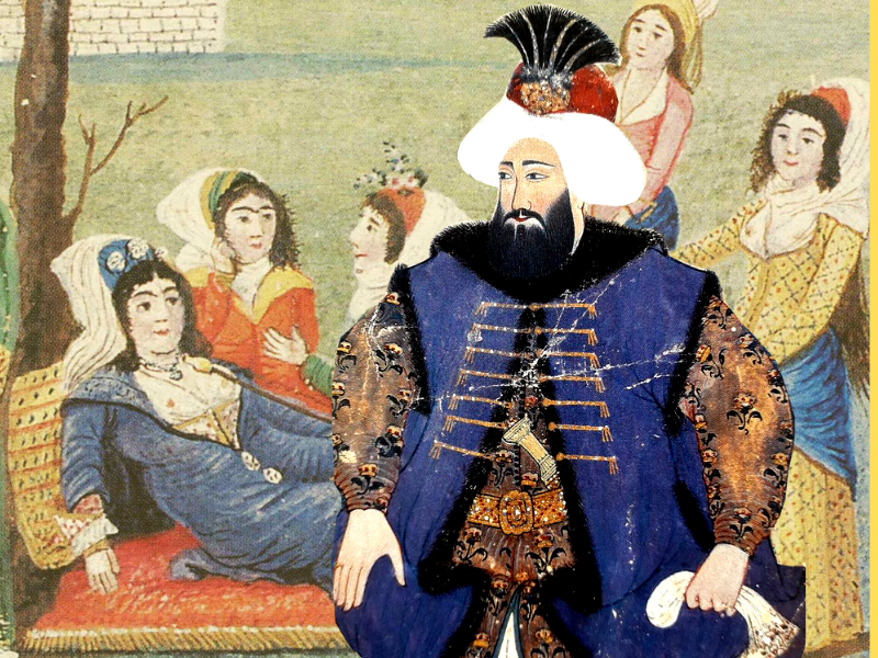 Женщины сидели небольшими компаниями на разложенных не земле коврах, в окружении слуг. Ели фрукты, сладости, пили кофе, курили чубук или наргиле. При этом ни один мужчина, за исключением евнухов, не мог к ним подойти. 