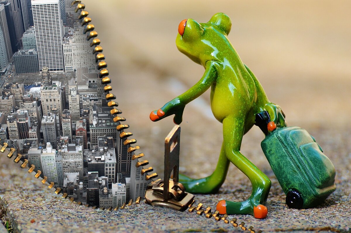 https://pixabay.com/ru/