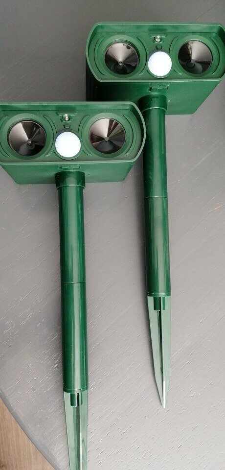 Вот наши пушты.