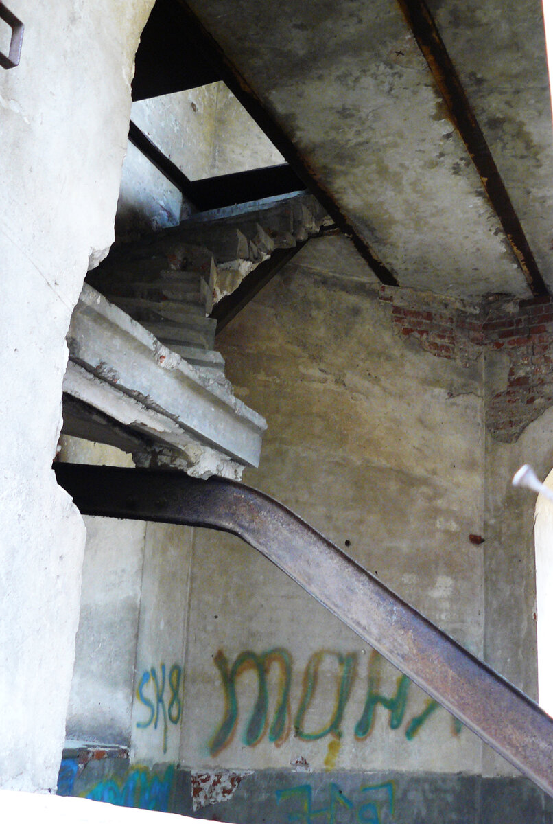 Фото автора, 2010 год. Сфотографировано через окно первого этажа.