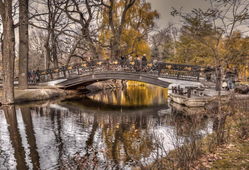 Скриншот . Источник : Яндекс картинки.