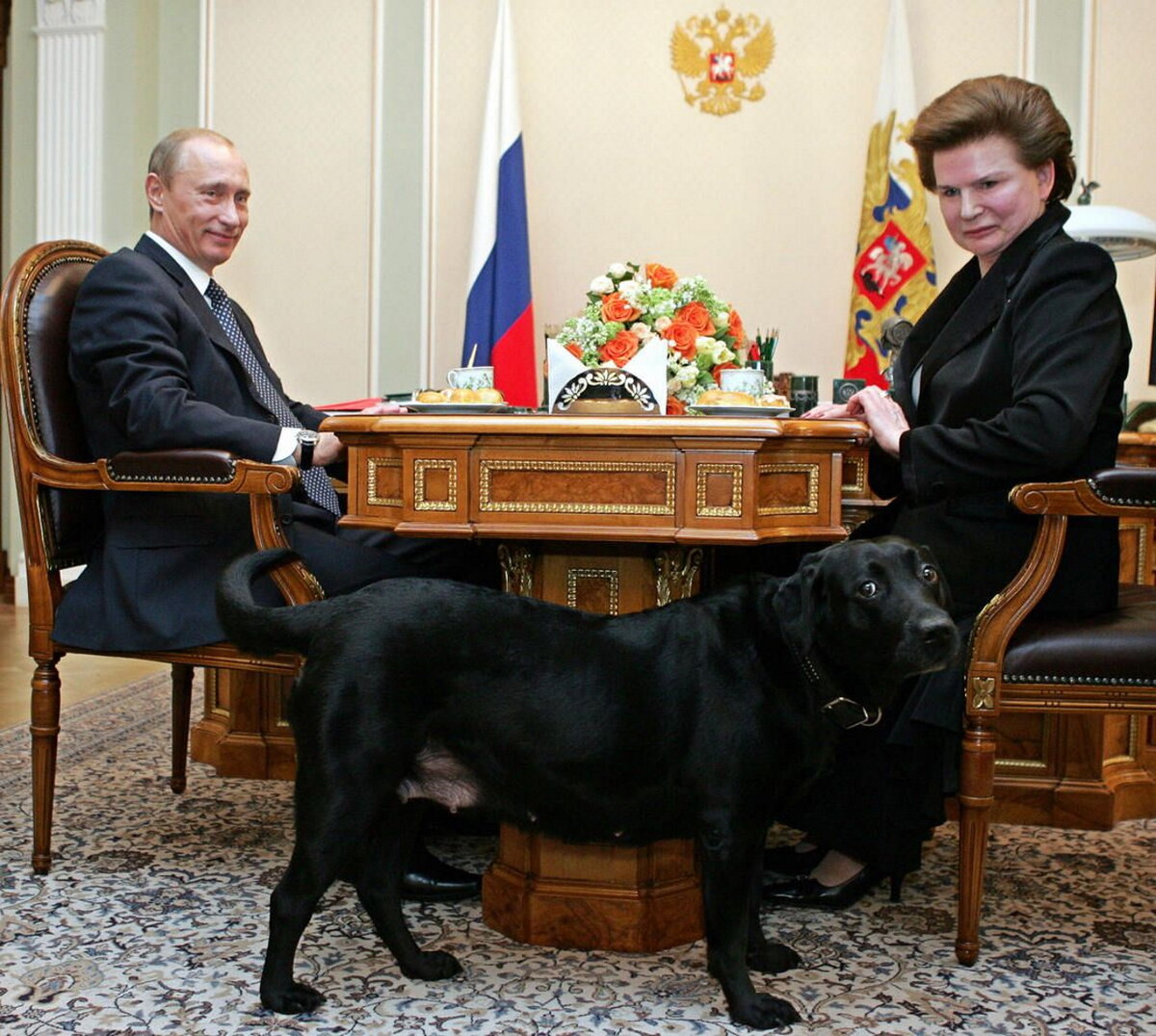 Путин и собаки 