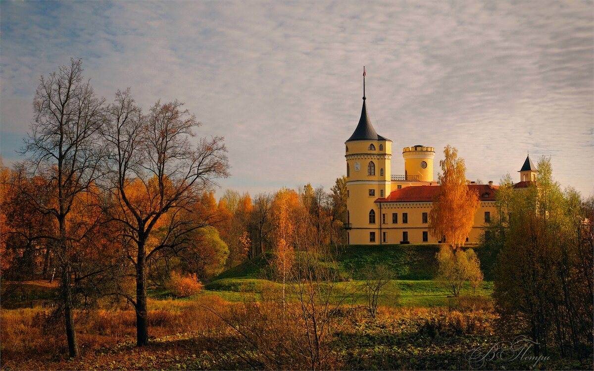 Фото: Вера Петри 