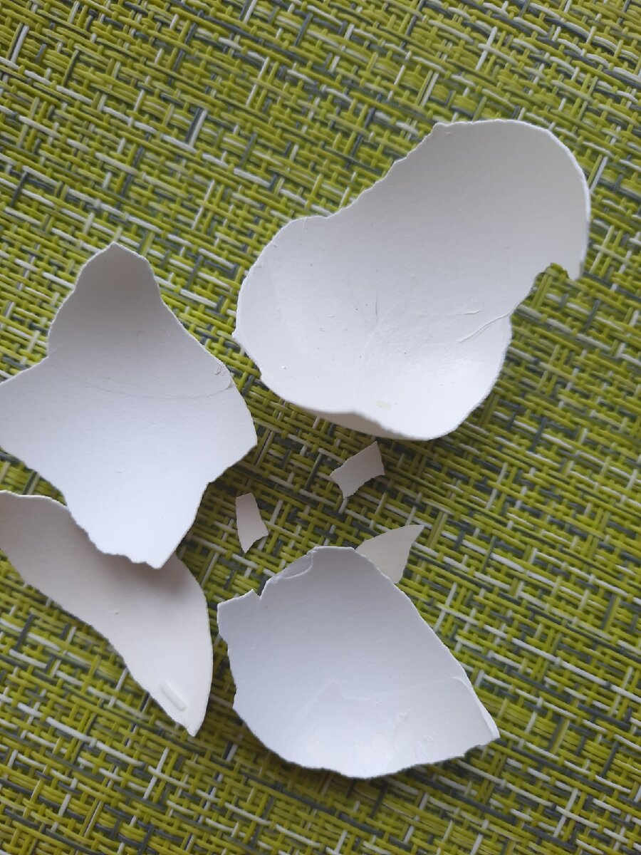 Фото из личного архива автора