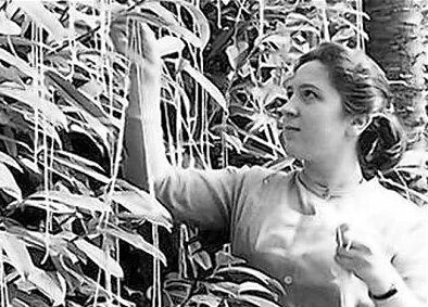 Женщина собирает спагетти. Фотография из открытых источников.