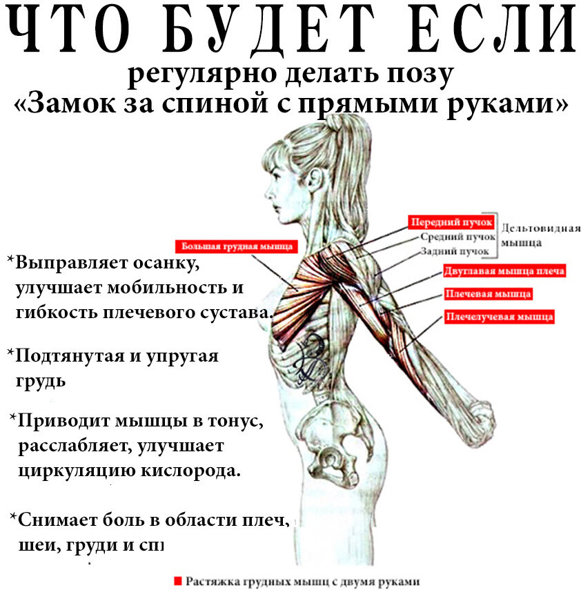 Как сцепить руки за спиной? | Йога для жизни. | Дзен