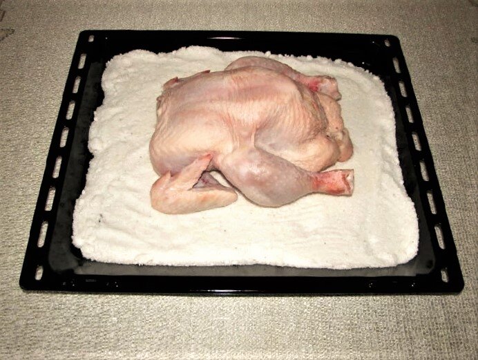 В публикации использованы фото из открытых источников