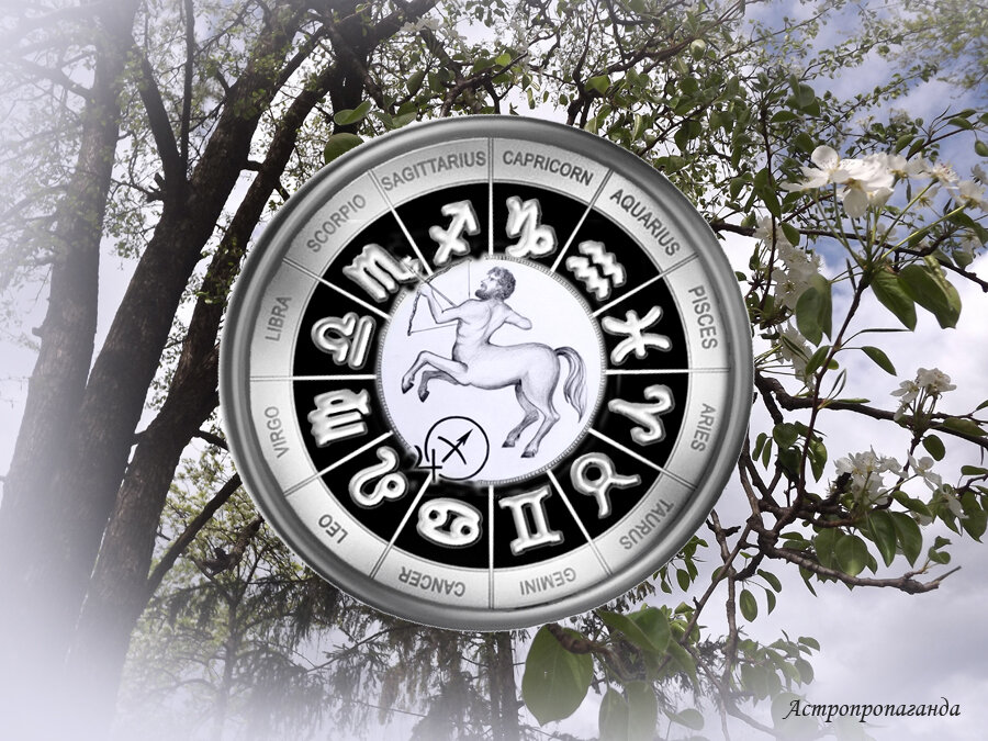 Коллаж Нины Стрелковой.