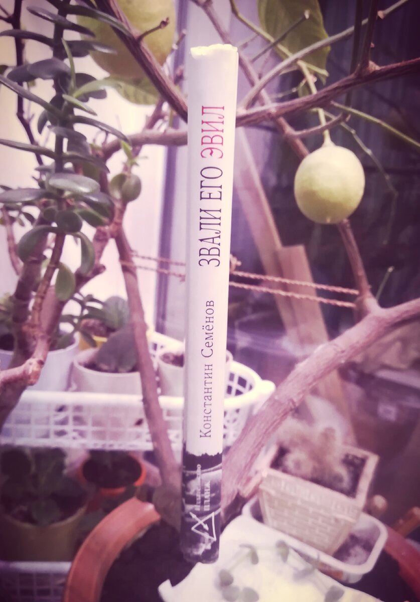 Совсем небольшая книжка