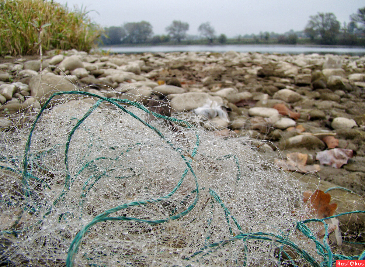 Изображение взято из открытых источников 