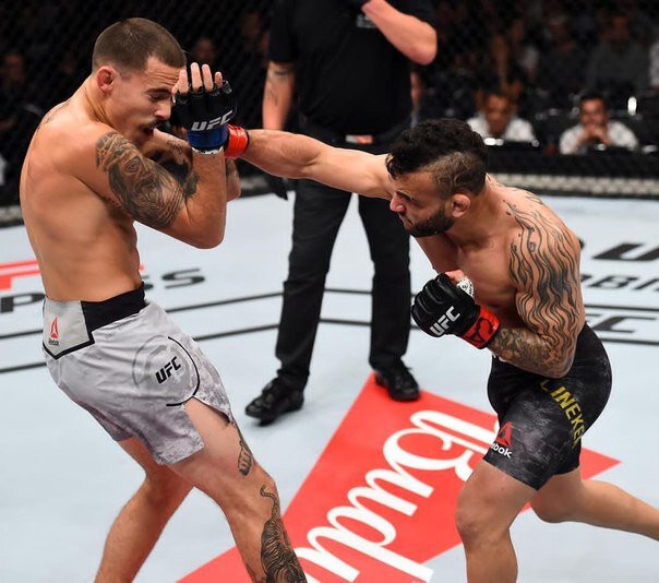 Статистика боёв: 42 боя, 15 нокаутом