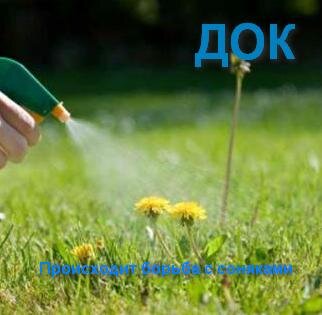 Опрыскивание