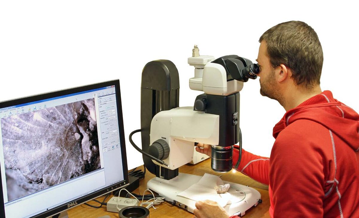 Д-р Саймон Шнайдер (CASP) использует стереомикроскоп Nikon SMZ18. 
На экране крупным планом показано изображение двустворчатого моллюска, на котором видна раковина, образованная кальцитом, а с правой стороны - часть окружающей известняковой матрицы.