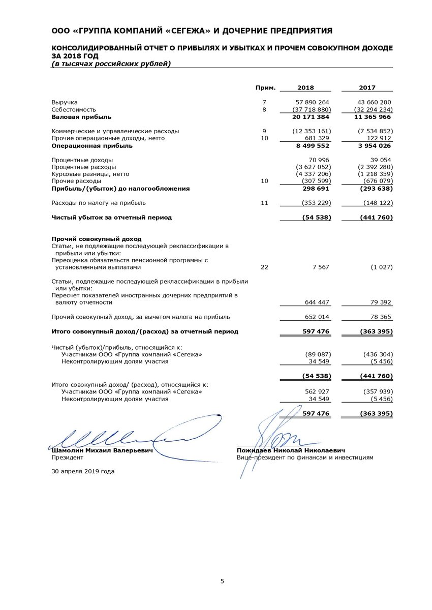 Отчет по МСФО за 2018 год, страница 5.