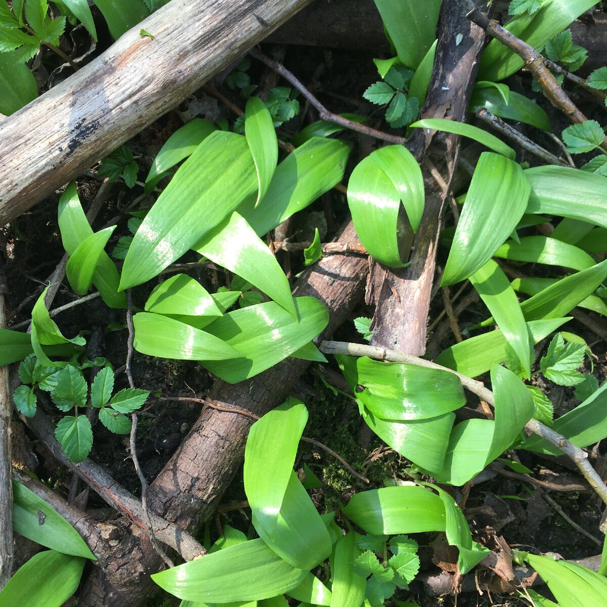 Текст и фото И. Костевич