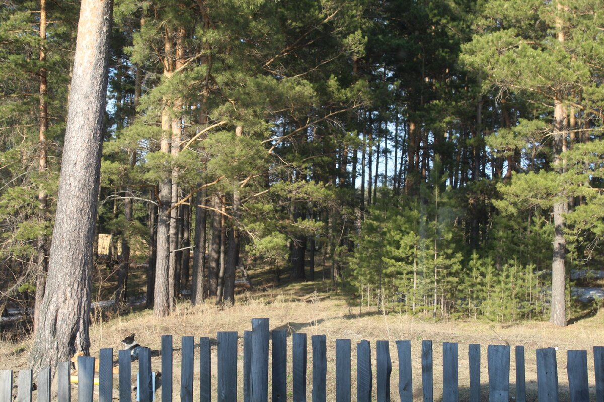 За окном. 
