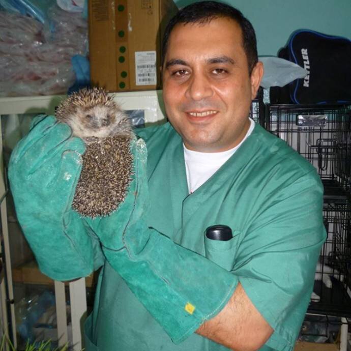 Музыкант ю даллакян letres 2. Музыкант ю даллакян letres 2. Ветеринар даллакян челябинск. Даллакян авет краснодар. Миракян авет владимирович.