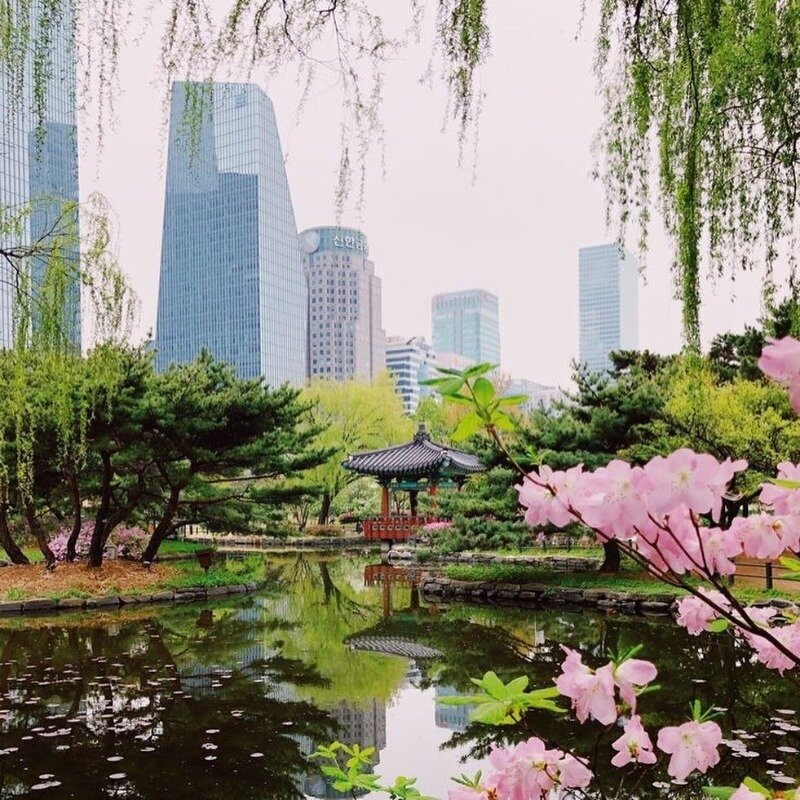 Фото https://www.instagram.com/p/B-pMYLfJH6Q/