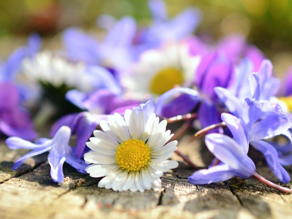 Я стану гаванью надежды Извечным витражом мечты
Быть может стану светом
В твоей планете темноты

