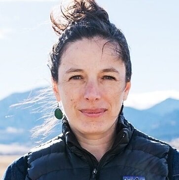 «Текущие модели предполагают, что нам нужно будет удалять 10 гигатонн CO2 в год к 2050 году, а к концу века это количество должно удвоиться до 20 гигатонн. Прямо сейчас мы практически ничего не удаляем. Поэтому придется масштабироваться с нуля», — говорит Джейн Зеликова, известный ученый-климатолог из Университета Вайоминга.