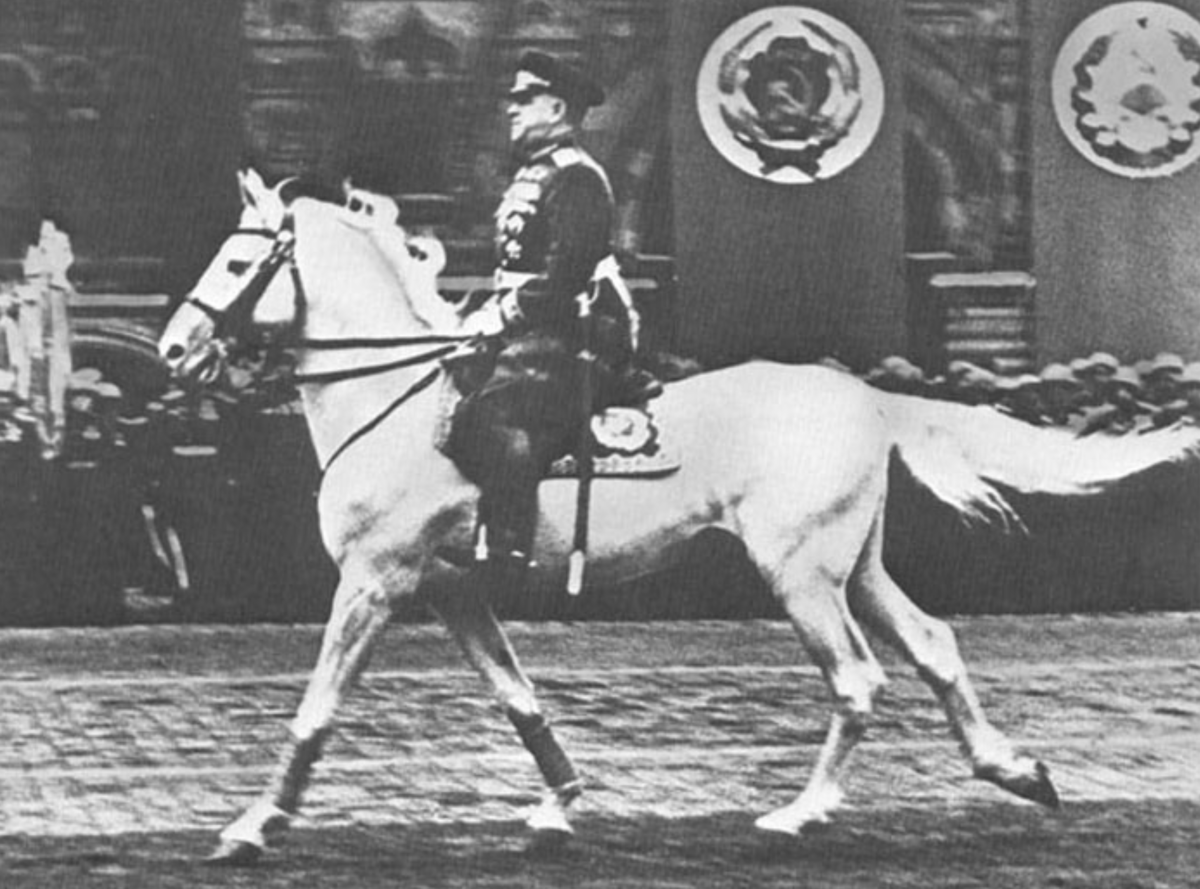 Белый конь маршала Жукова