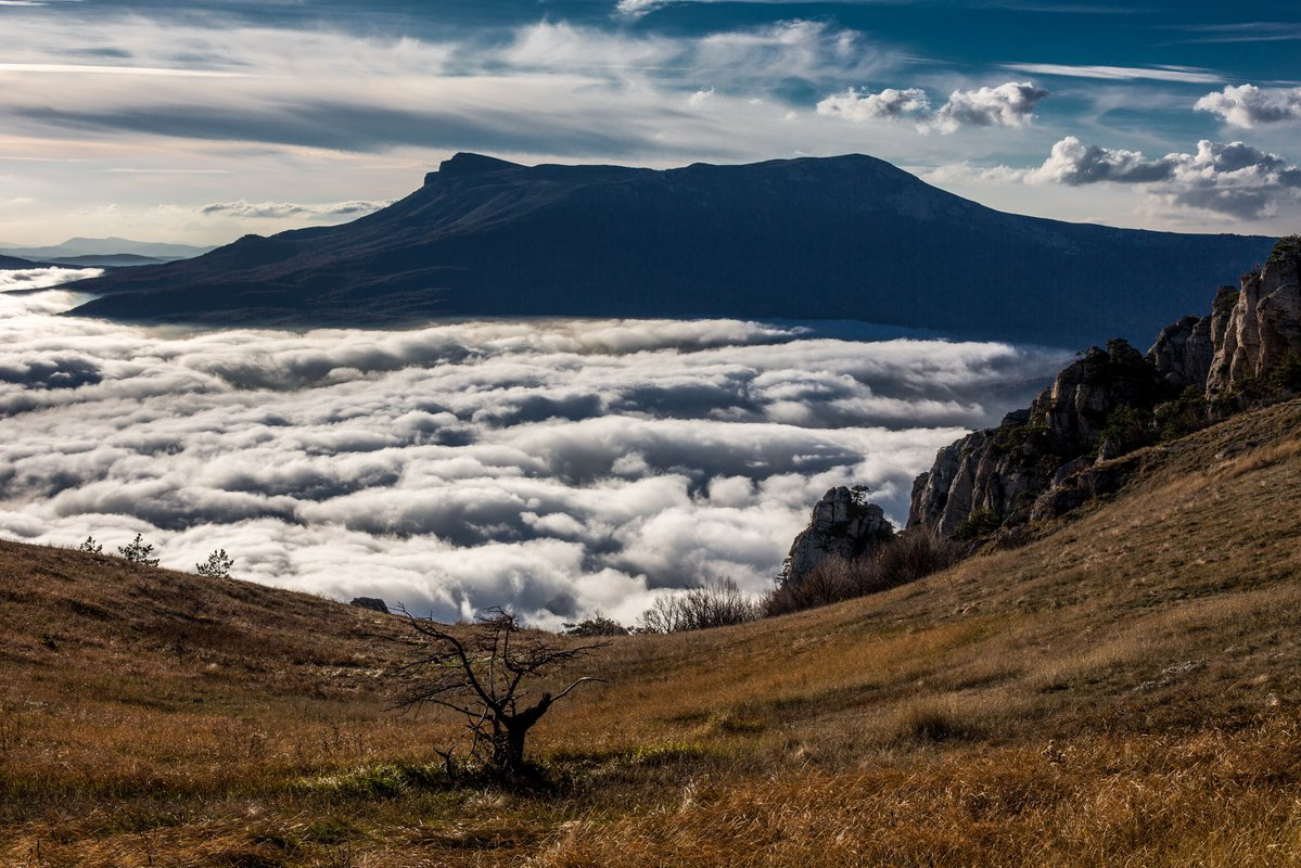 Вид на гору Чатыр-даг. Фото из открытых источников Яндекса