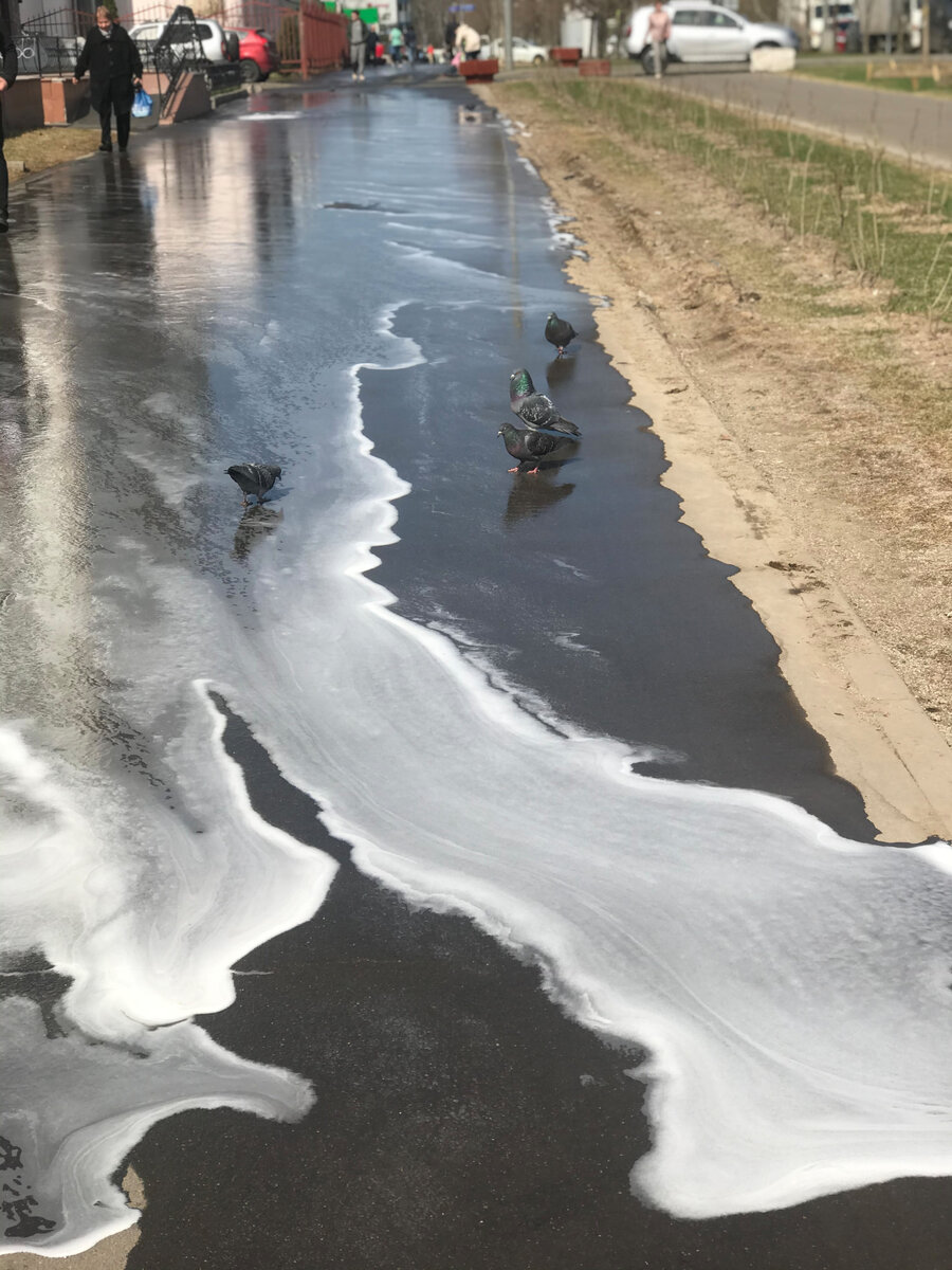 Мыльные реки растеклись по всей дороге. Фото автора
