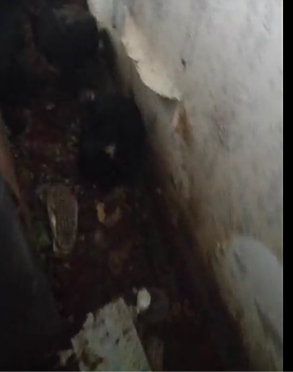 Мы были в шоке от увиденного. 