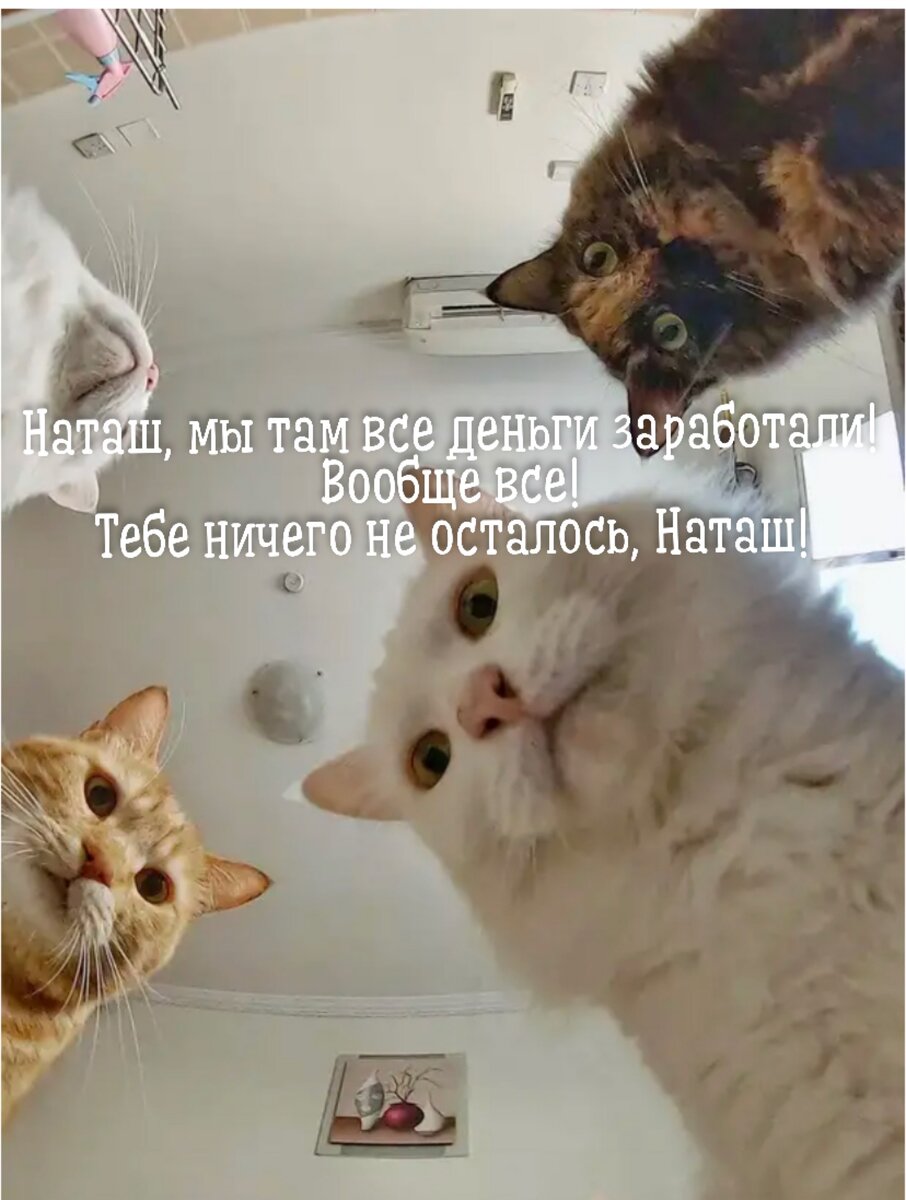 Как то так.)