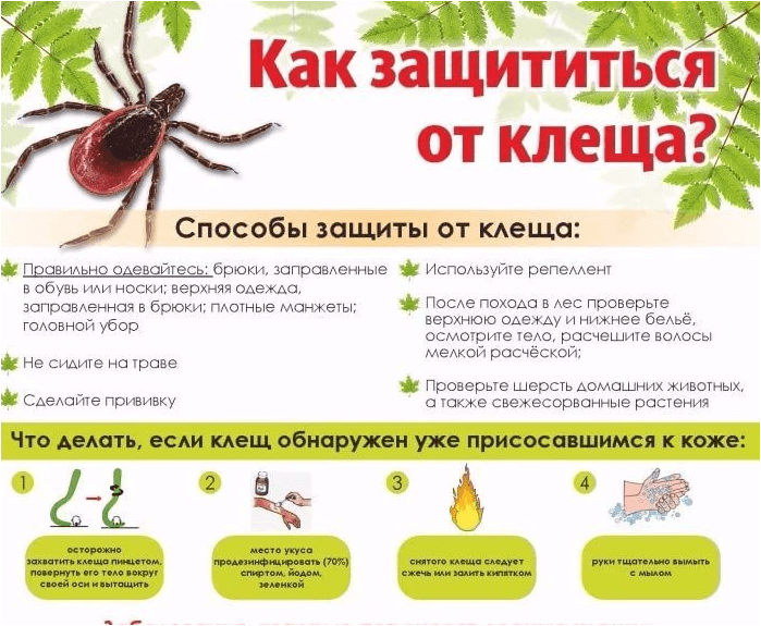 Иллюстрация из открытых источников Яндекс-картинки