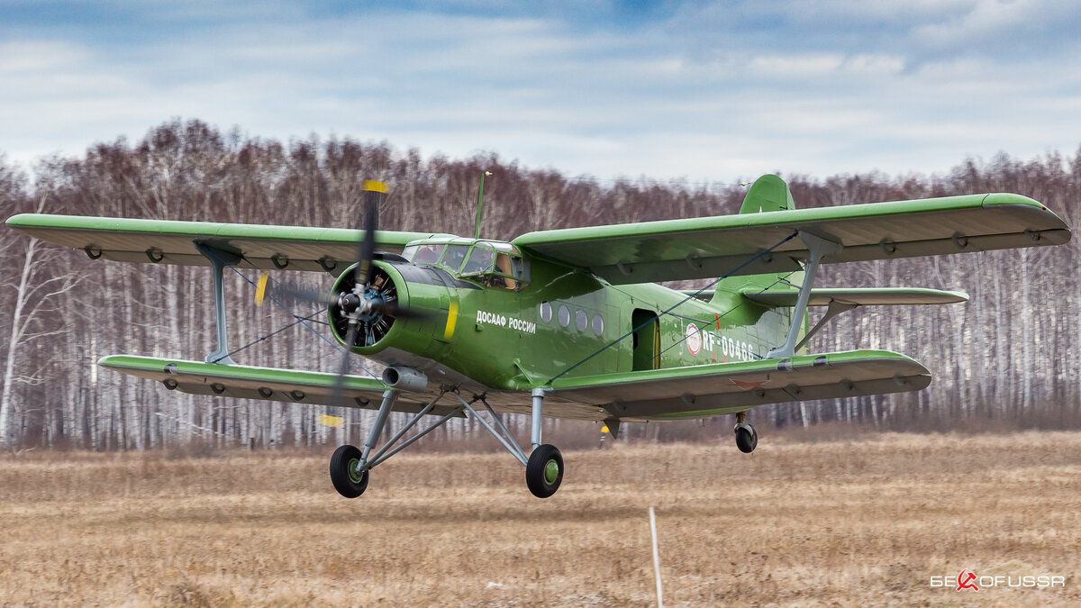 Кукурузник самолет. Кукурузник АН-2. Легендарный кукурузник АН-2. Многоцелевой самолёт ан2. АН 2 бомбардировщик.