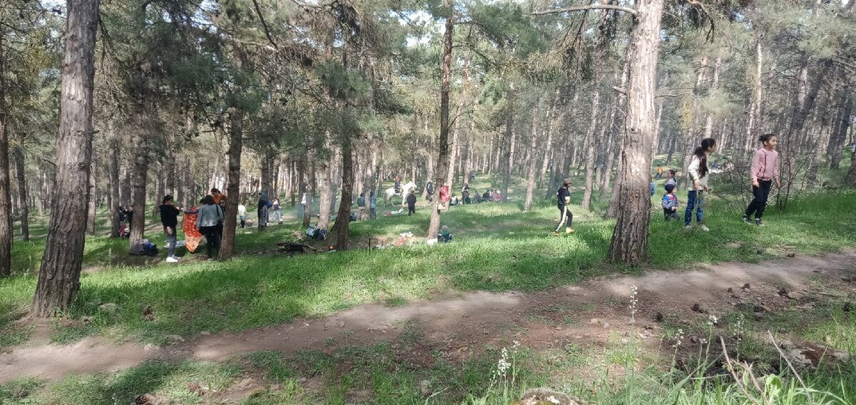 Повсюду дети