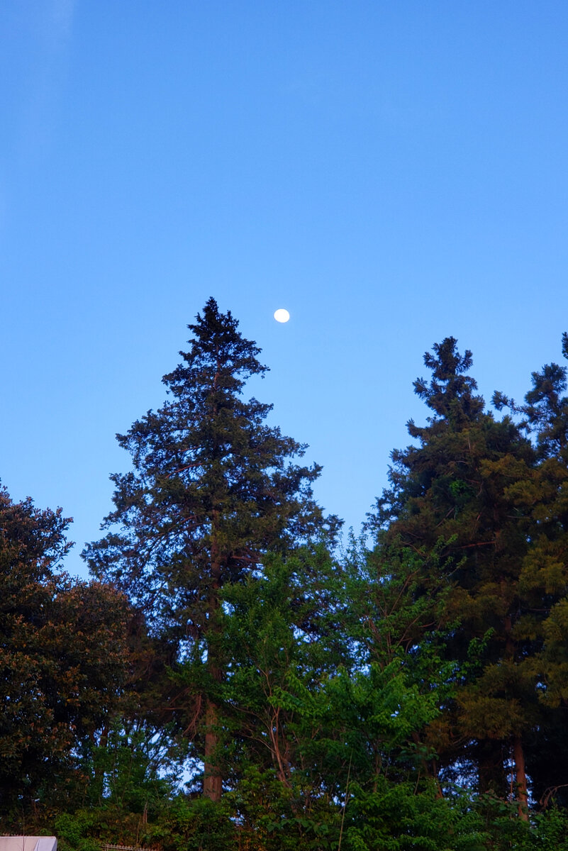 На выходе из офиса, увидела вот такое небо