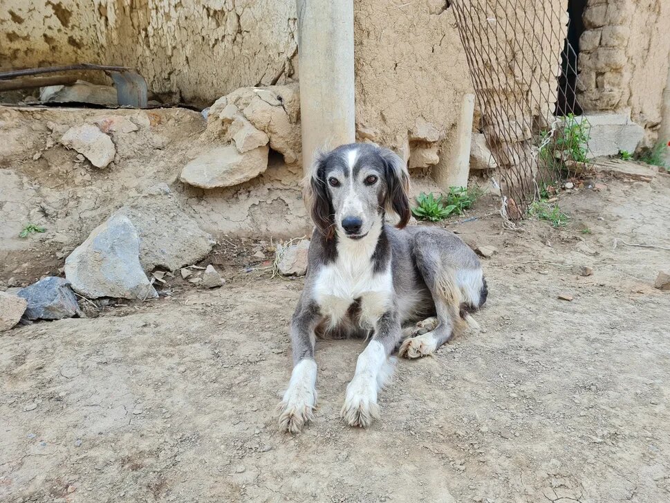 Фото Fermer.ru ©