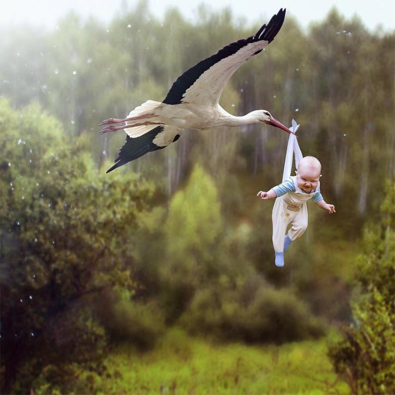 Картинка из интернета