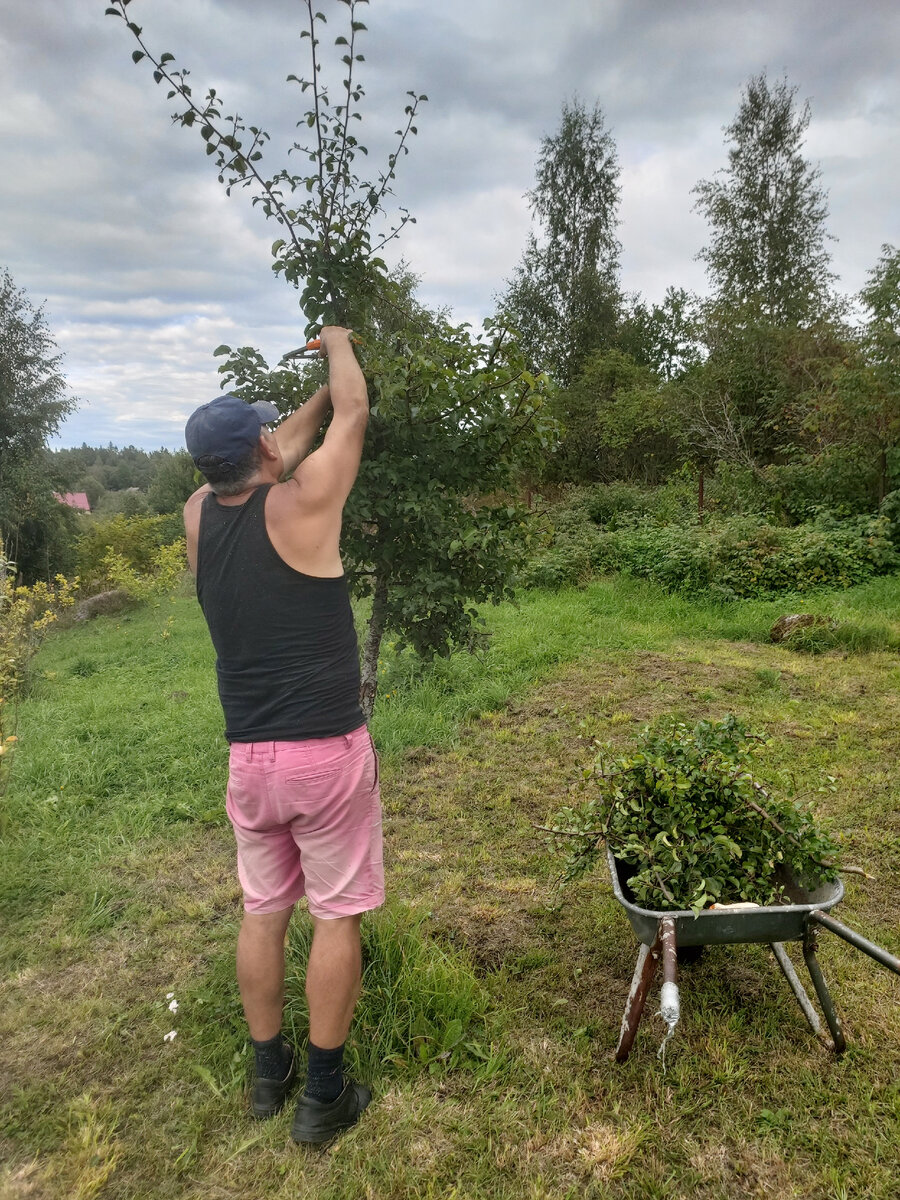 Формируем шарик.