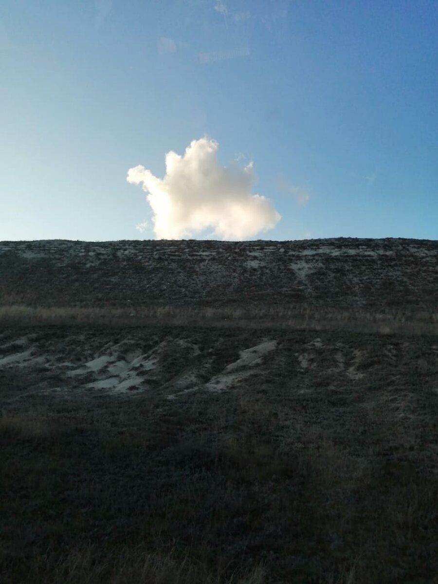 Облако похожее на динозавра, который идёт по склону холма. Личная фотография
