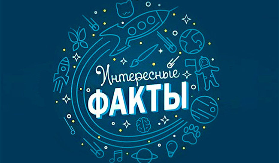 Изображение из открытого источника