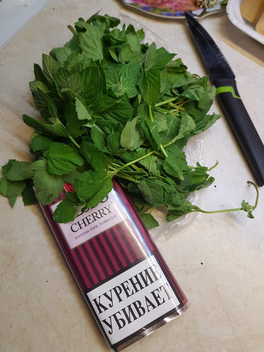 Мята будет впереди 