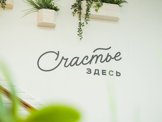 Фото взято из открытых источников