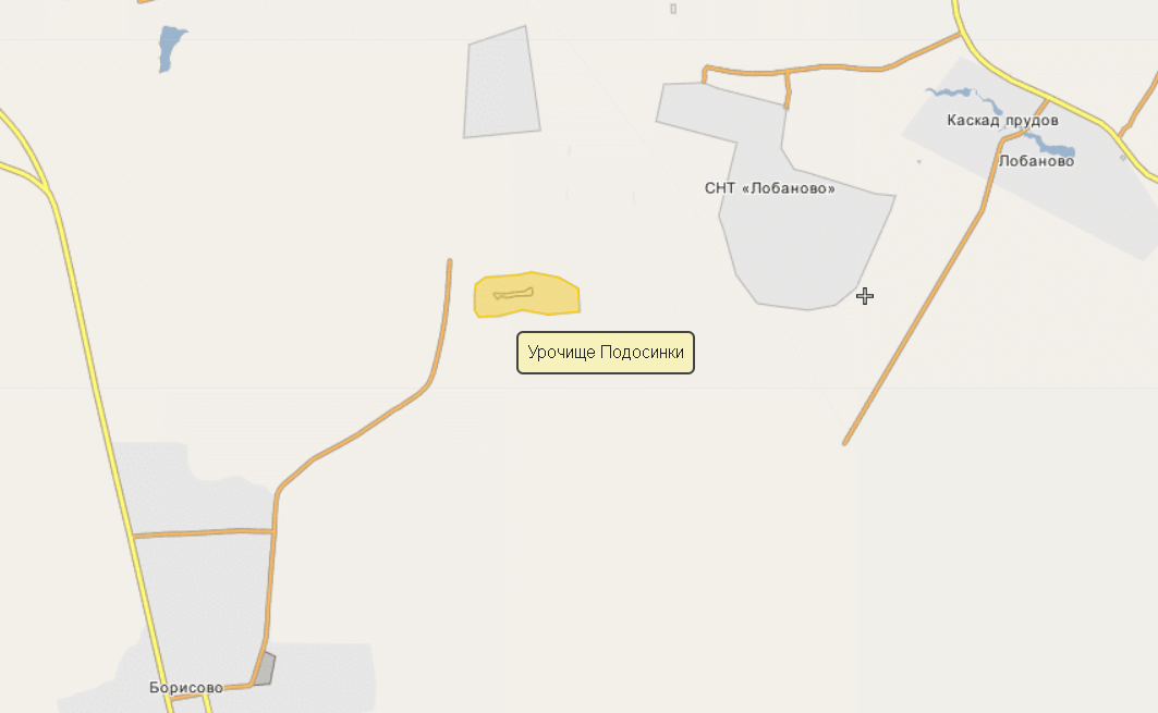 Урочище Подосинки, строго вверх - урочище Балынь. Не то место, где мы пересеклись с Барбароссой, но очень, очень близко. Скриншот с сайта wikimapia.org