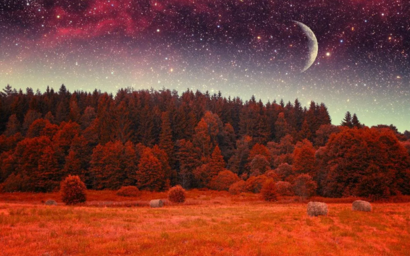 Источник: Яндекс Картинки