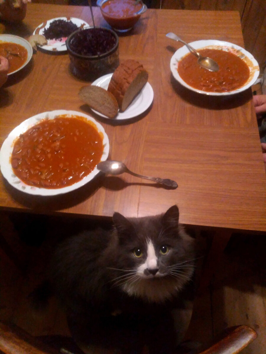 Суп из домашней фасоли, домашних помидоров, своя свекла, домашний хлеб