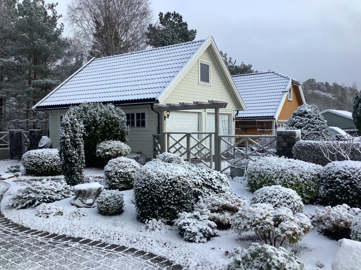 Первый снег, 27 ноября.