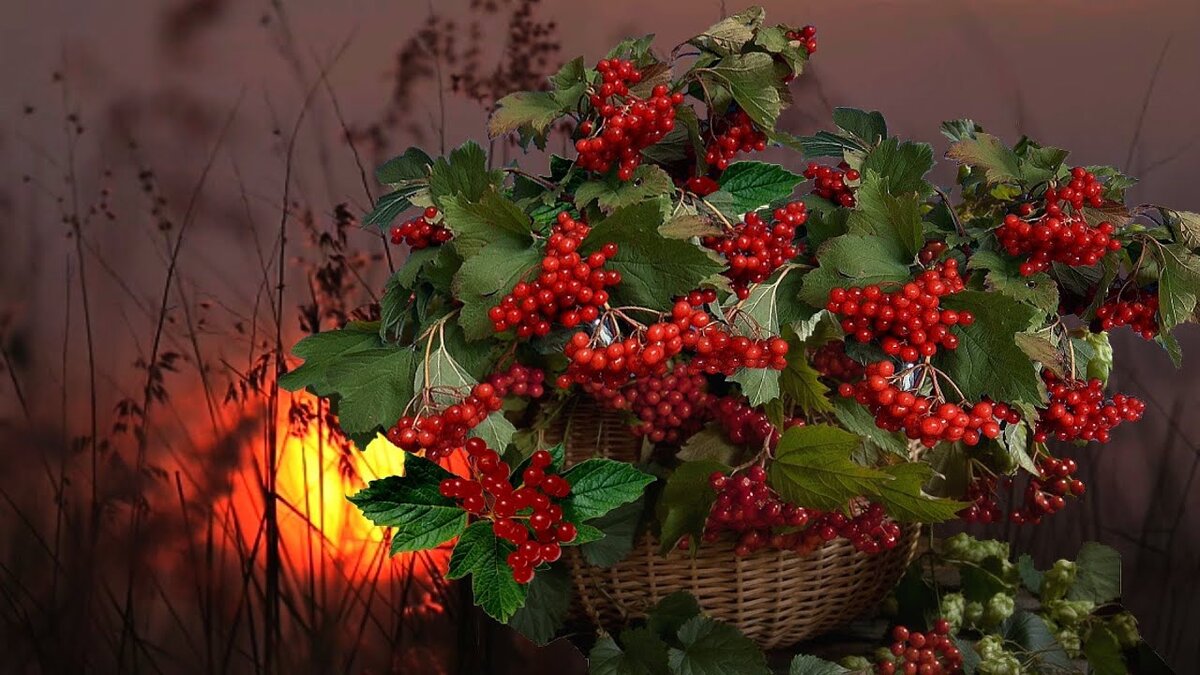 Фото со страниц Яндекс.