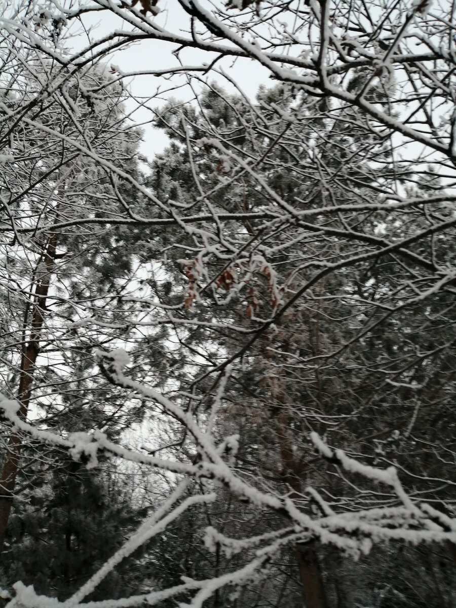 Фото представителя канала 