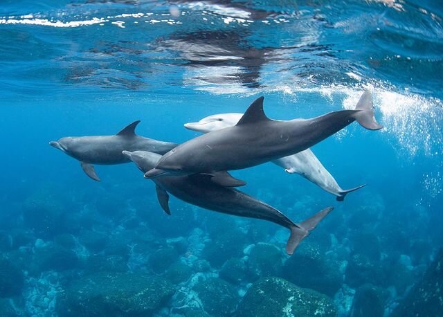 Фильмдердегі ресейлік актрисалардың сексуалды көріністері