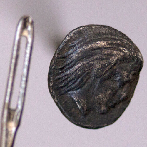 Тетартеморий, вес 0.20 г, d7.0 мм. Пантикапей. 334 — 324 год до н.э. Серебро.